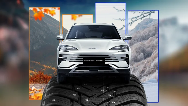 BYD С BYD на зимней волне